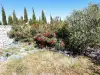 Grand terrain de la vente de notre maison d'hôte - gîte à vendre avec piscine à Perpignan (29).webp